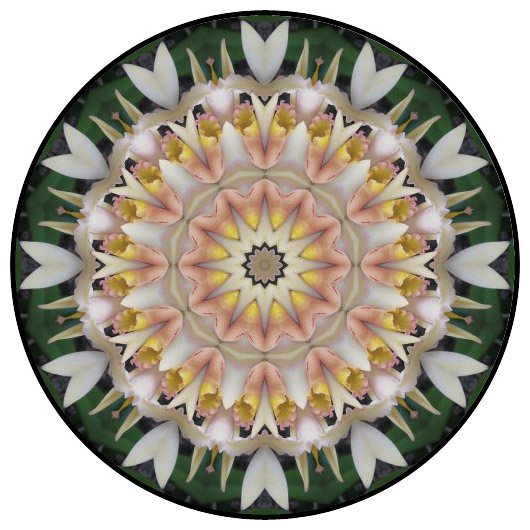 botanical mandala, mandala art