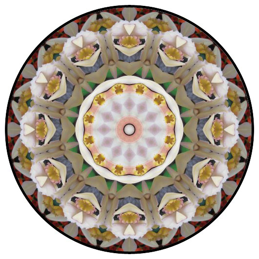 botanical mandala, mandala art