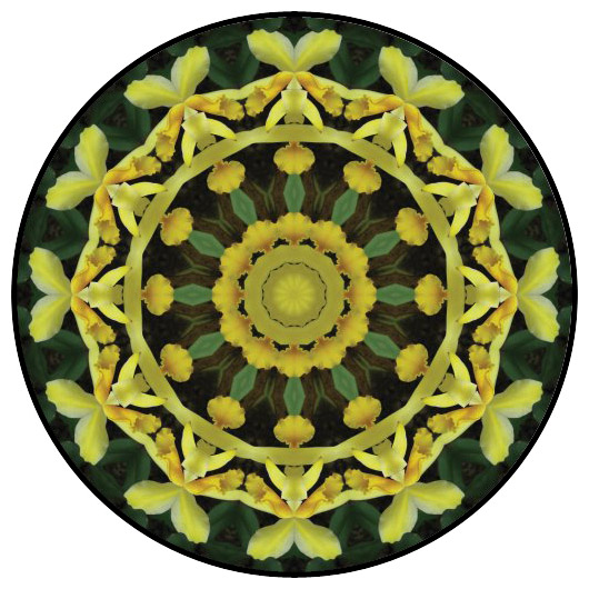 botanical mandala, mandala art