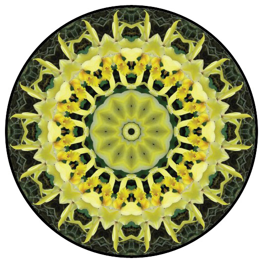 botanical mandala, mandala art