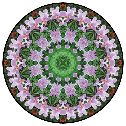botanical mandala, mandala art