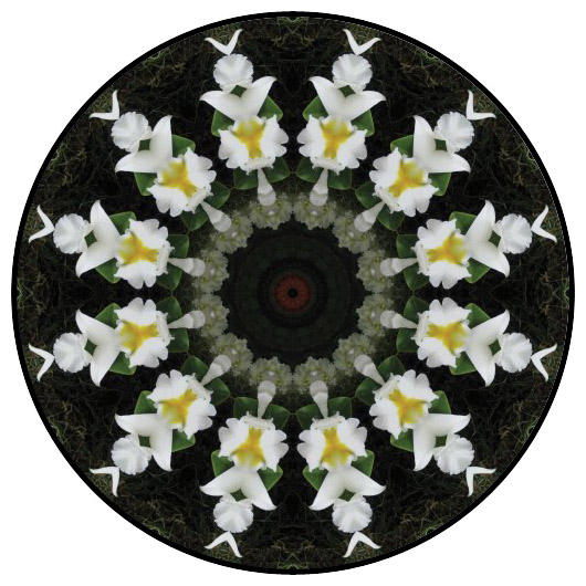 botanical mandala, mandala art