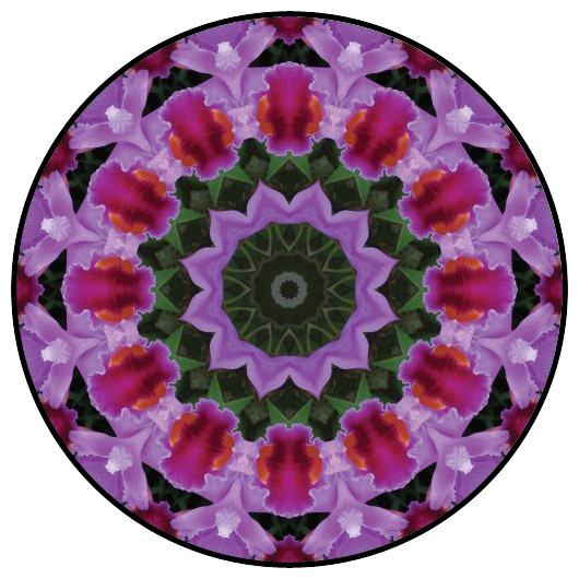 botanical mandala, mandala art