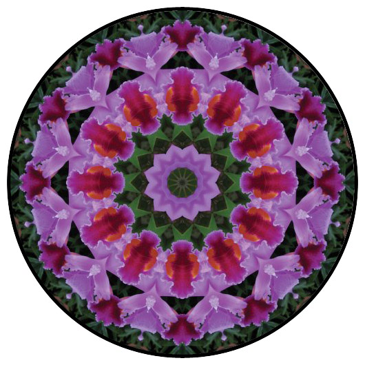botanical mandala, mandala art