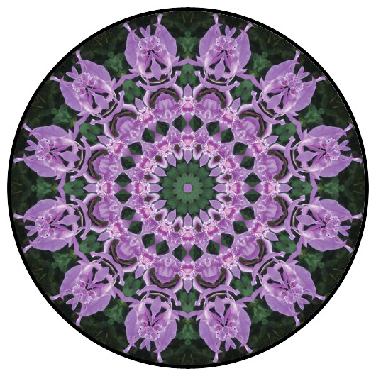 botanical mandala, mandala art