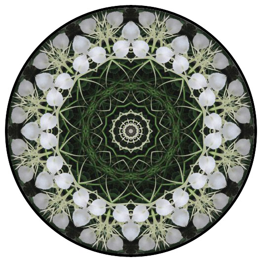 botanical mandala, mandala art