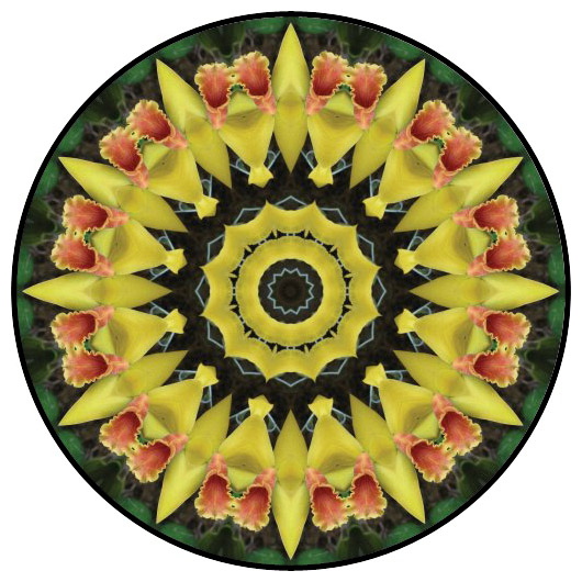 botanical mandala, mandala art