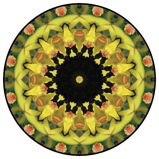 botanical mandala, mandala art