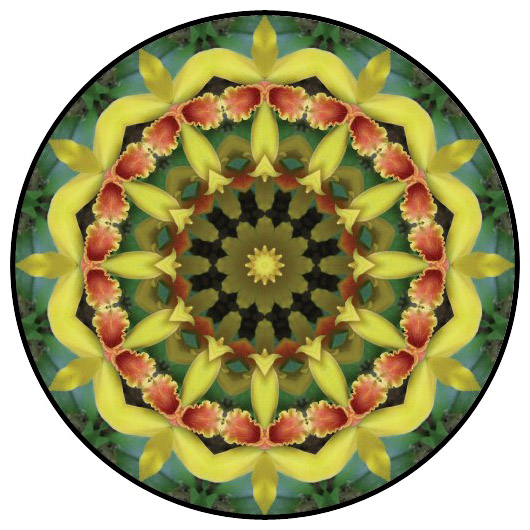botanical mandala, mandala art