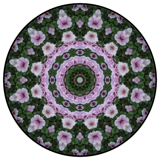 botanical mandala, mandala art