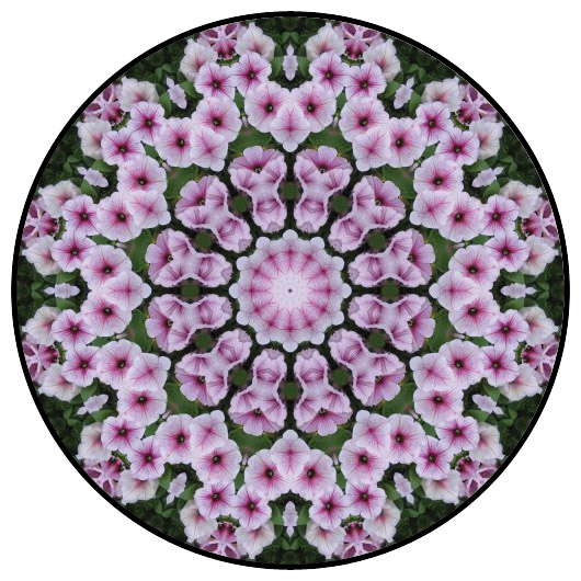 botanical mandala, mandala art