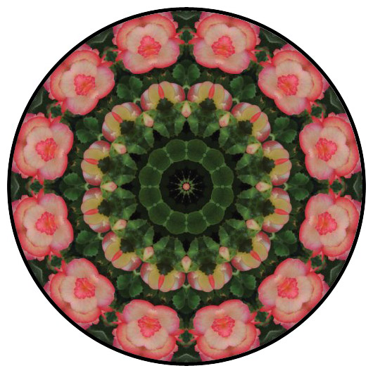 botanical mandala, mandala art
