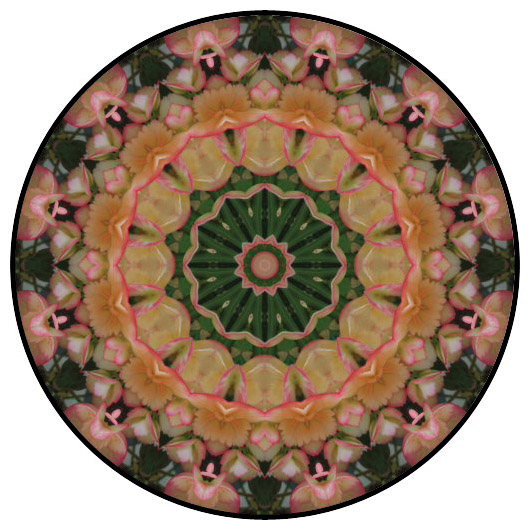 botanical mandala, mandala art