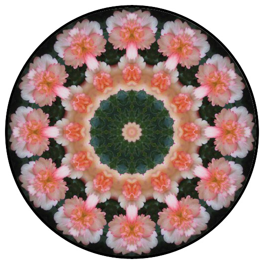 botanical mandala, mandala art