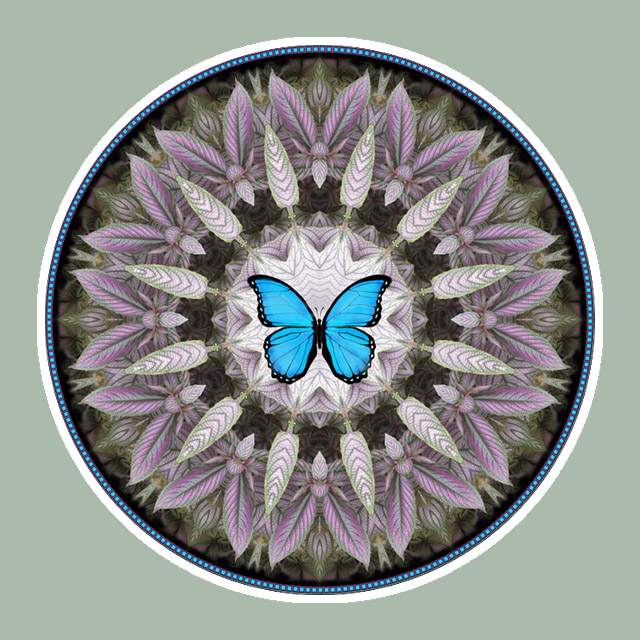 Blue Morpho, Mandala Art