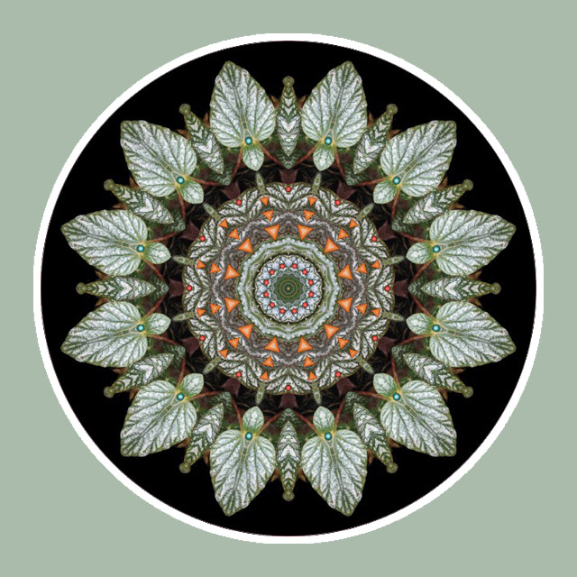 Featherwheel Mandala, Mandala Art