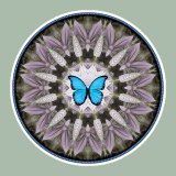 Blue Morpho, mandala art
