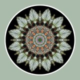 Featherwheel Mandala, Mandala Art