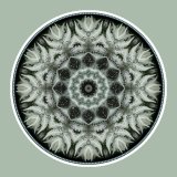 Fernfeather Zodiac, Mandala Art