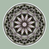 Green Geckowheel, Mandala Art