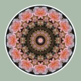 Pink Flowercircle, Mandala Art
