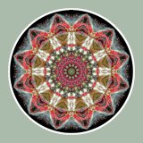 Spotted Begonia Wheel, Mandala Art