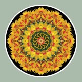 Yellow Flamewheel, Mandala Art