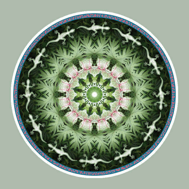 Geckodance, Mandala Art