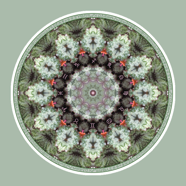 Greenstar Zodiac, Mandala Art