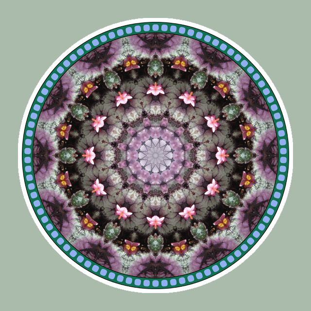 Pink Star Mandala, Mandala Art