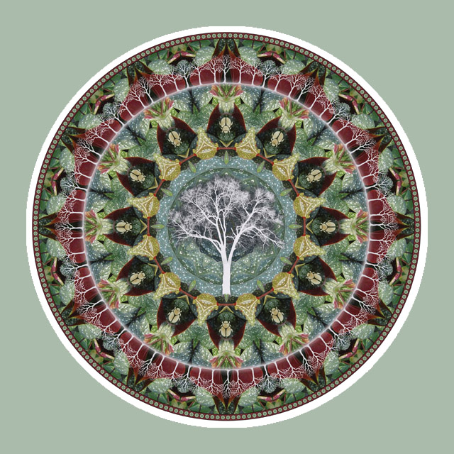 Scarab Treecircle, Mandala Art
