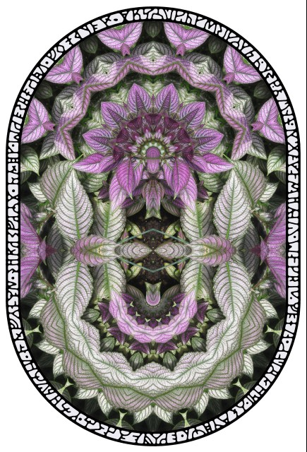 purplecrown.jpg (150238 bytes)